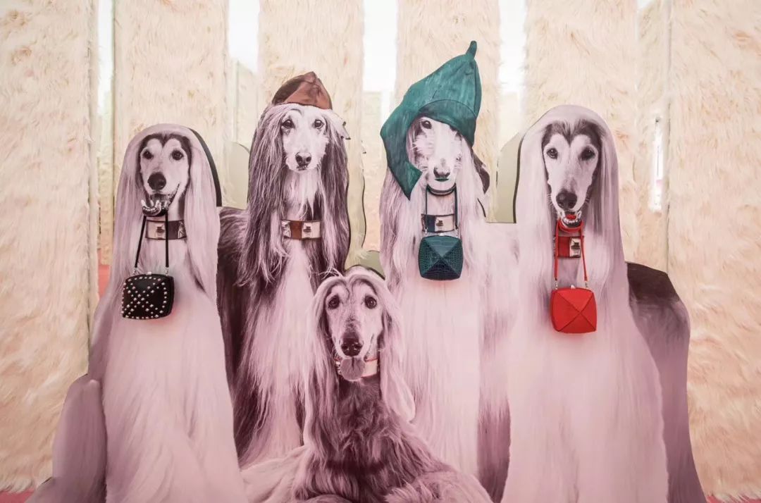 探索爱马仕箱包世界,爱马仕箱包之旅