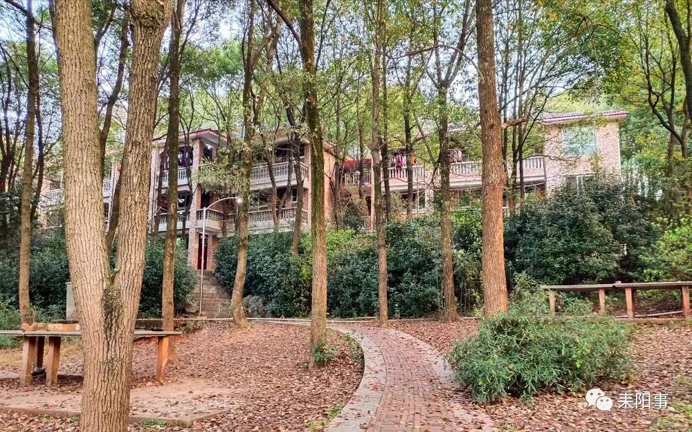 迎接校园里的百花齐放,教室窗外百花齐放