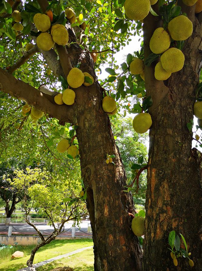 广西大学变化历史,广西大学文科毕业的你后来咋样了