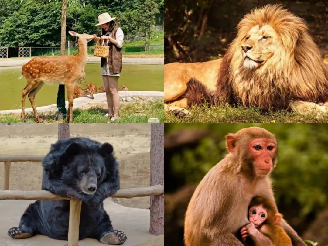 东南花都花博园景观,东南花都花博园