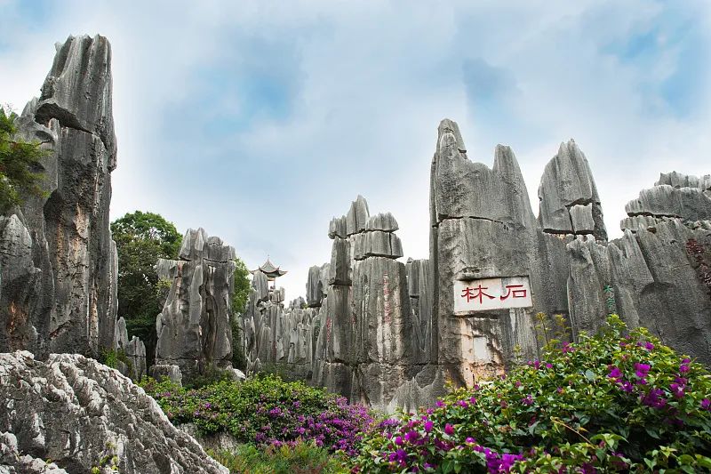 收好这份云南最新5a景区名单,云南的5a级景区有哪些