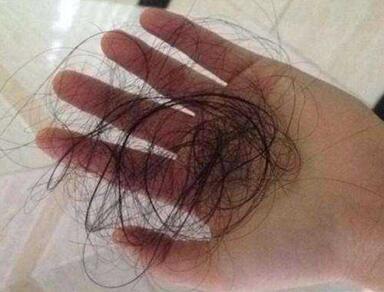 规范生活习惯,规范言行举止养成良好的习惯