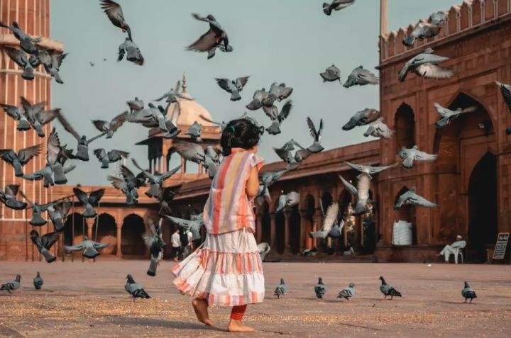 含泪整理：出国旅游，怎样才能不被骗？