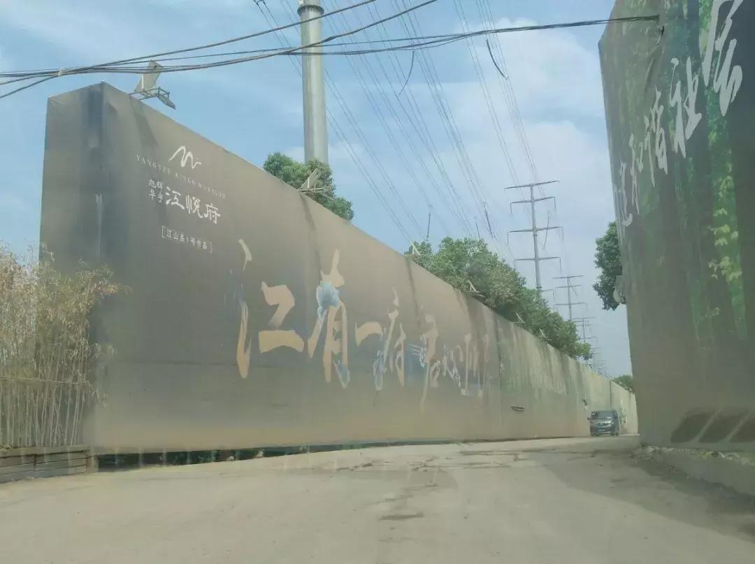 白沙洲告别篇:留汉大学生“首站”青菱新区