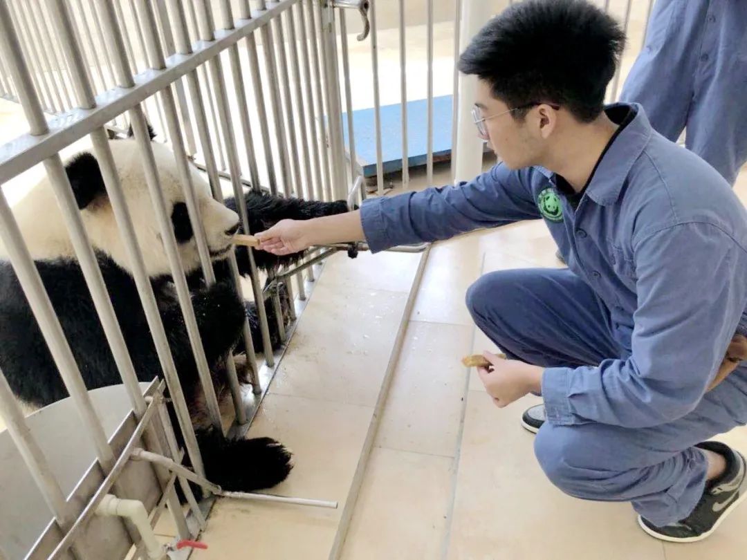 投资10亿，坐标布吉，这是一所被低估的宝藏学校