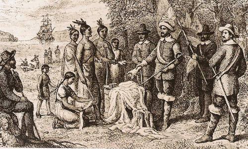 河狸皮毛的优点,河狸皮毛十分名贵