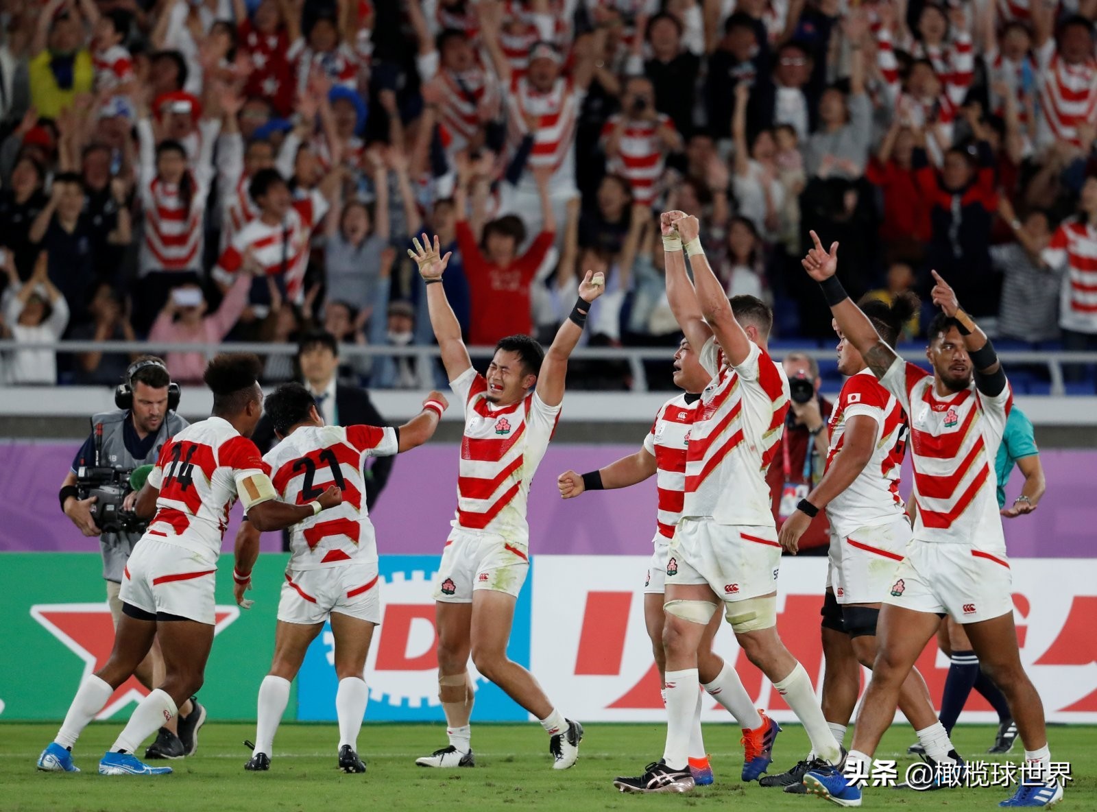 为什么橄榄球不是世界第一运动,橄榄球世界杯女子赛事