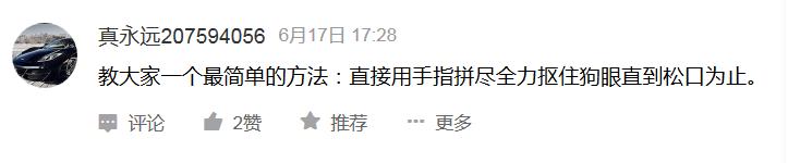 告诉孩子被狗咬怎么自救,如果小孩被狗咬怎么自救