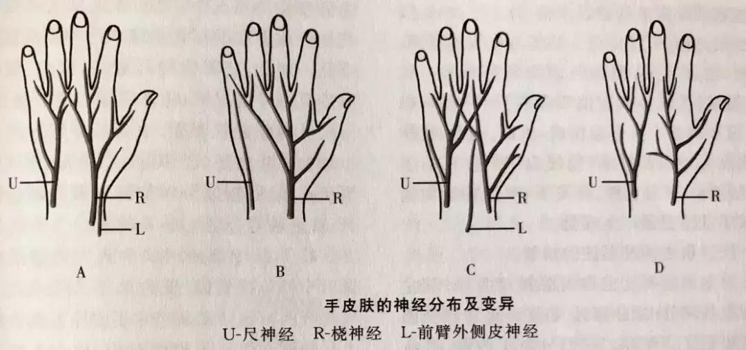 打留置针打到手上的神经手很麻木,打留置针之后手关节痛