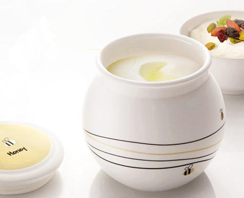 家用酸奶机做出来的酸奶什么样子,家庭做酸奶要用酸奶机吗