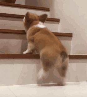 没脚踝，脚脖子粗，你的腿是不是像白萝卜？