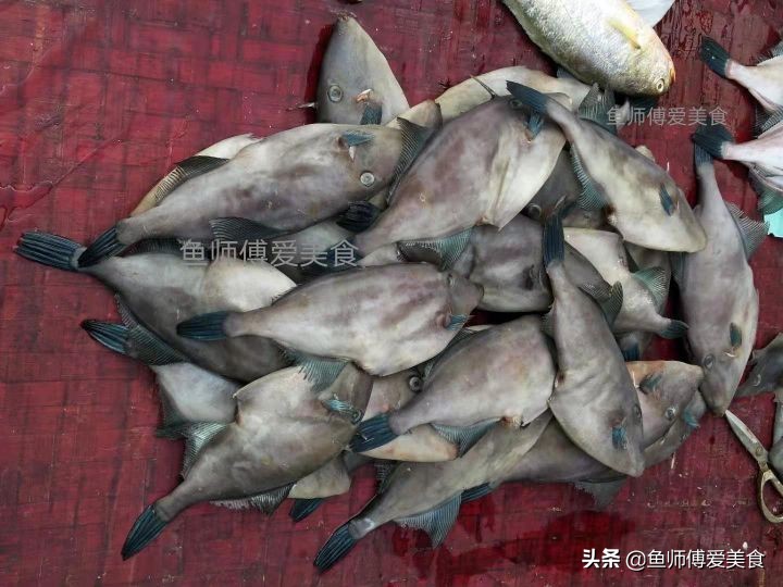 春季野生海鱼,应季野生海鱼