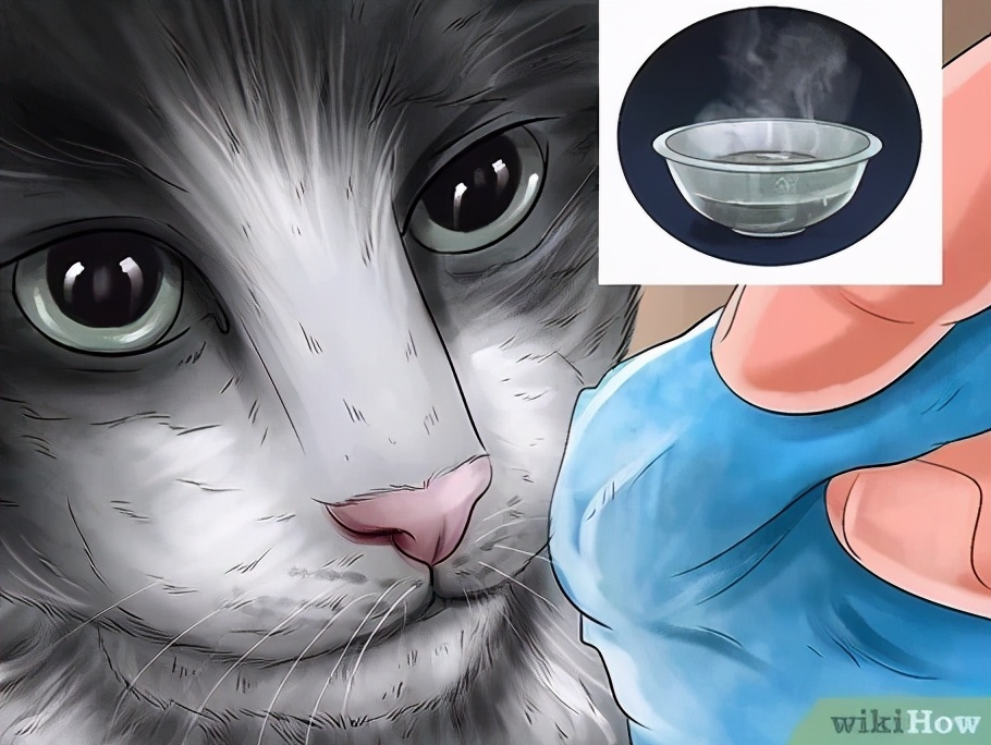 科普鼻炎小知识,慢性鼻炎鼻腔分泌物多