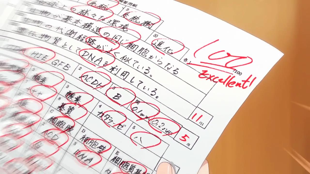 历年新番回顾第四期：2015（三）仓鼠？是小埋啦！