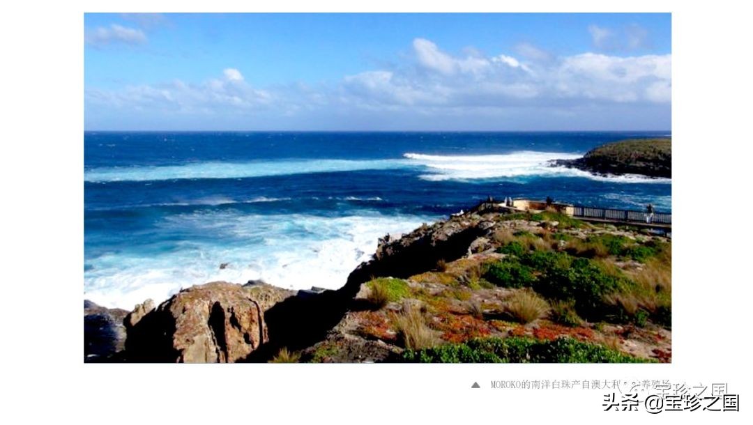 智识珍珠07|南洋白珠：珍珠界的“禁欲系”代表