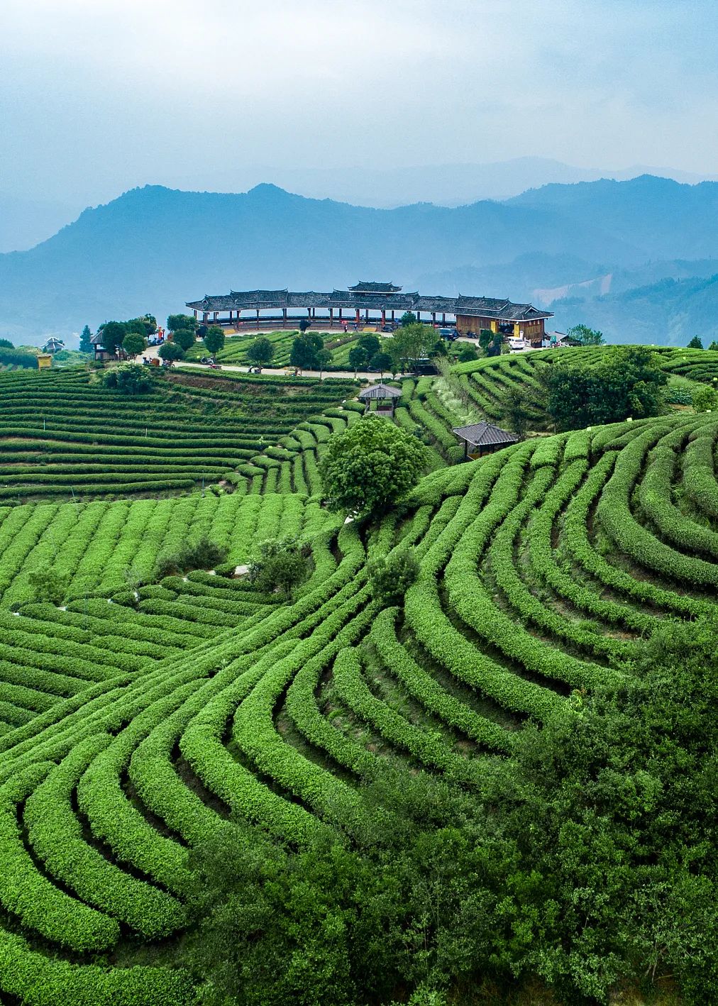 广西柳州除了螺蛳粉还有什么特产,广西柳州螺蛳粉视频