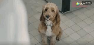 谢谢你治好了我的心脏,谢谢你治好了我的低血压