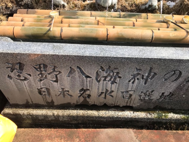 日本东京单人自由行攻略,如何计划日本旅游