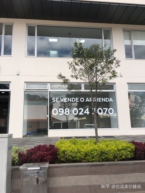 我在厄瓜多尔的定居生活1