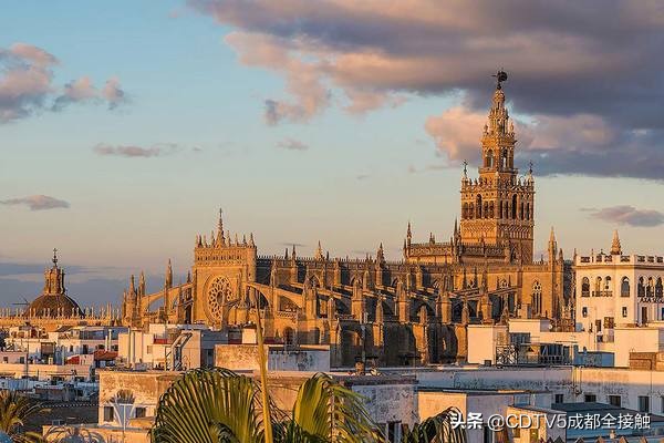 对话世界城市,对话世界的城市