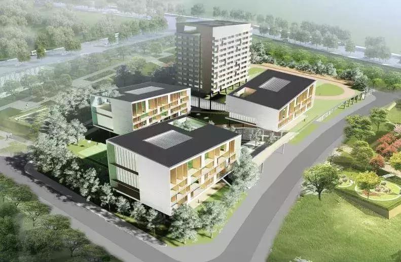 深圳市中小学学区查询,广东实验学校深圳校区学区划分