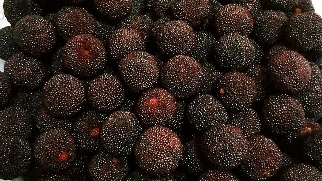 杨梅的清洗正确方法,杨梅正确清洗方法