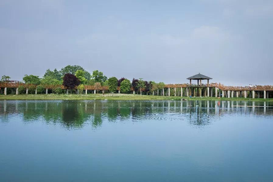 在郫都安德乘风破浪，这里有14个机会