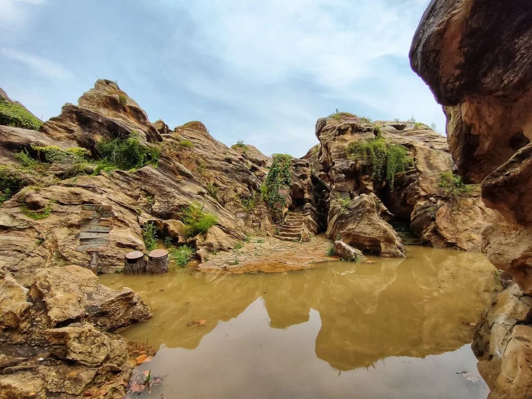 大连金石园奇石名称,大连市金石园