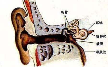 飞机上遇到中耳炎怎么处理,飞机出行注意事项
