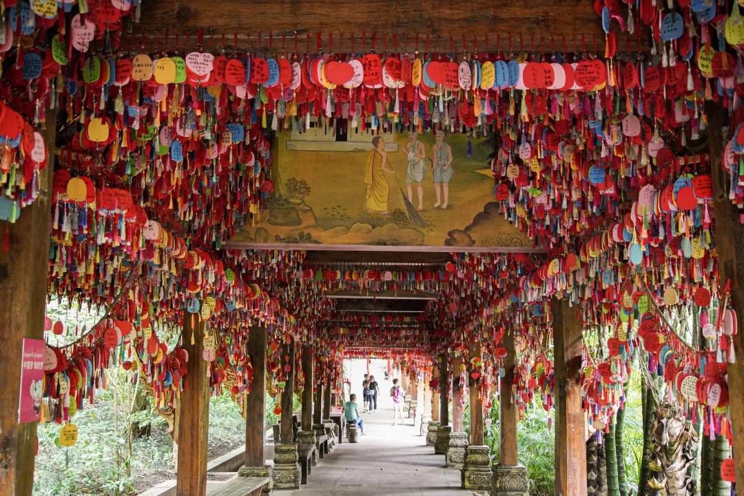 打卡中老铁路,曼听公园网红打卡景点