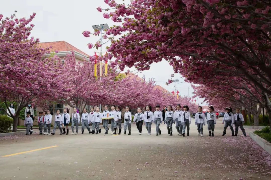 莱阳美韵莱西甜心的小超模们走进樱花小镇濯村大型社会实践活动