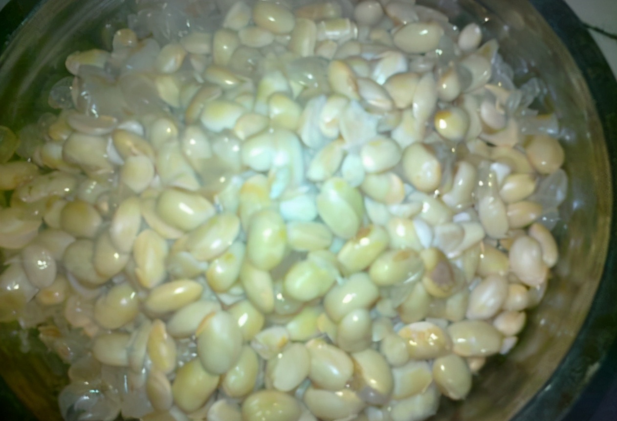 黄豆水浇花的功效与作用,豆渣肥水养花正确使用方法