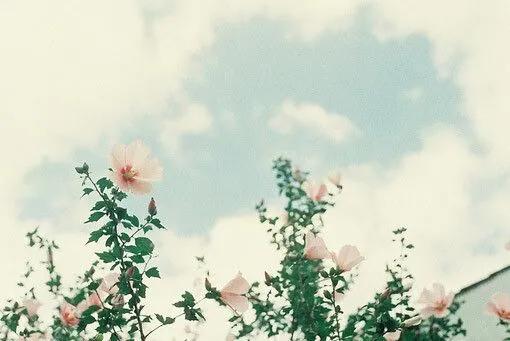 盘点哪些好听的纯音乐,现在有哪些好听的纯音乐