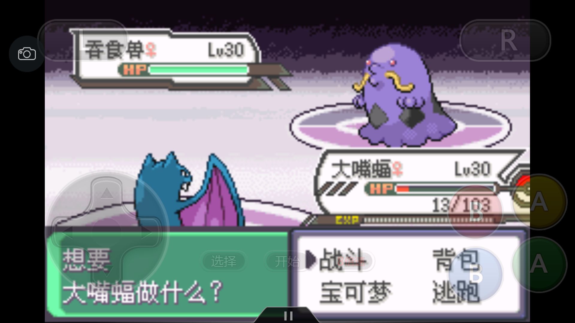 究极绿宝石5一周目攻略,究极绿宝石一周目神兽攻略