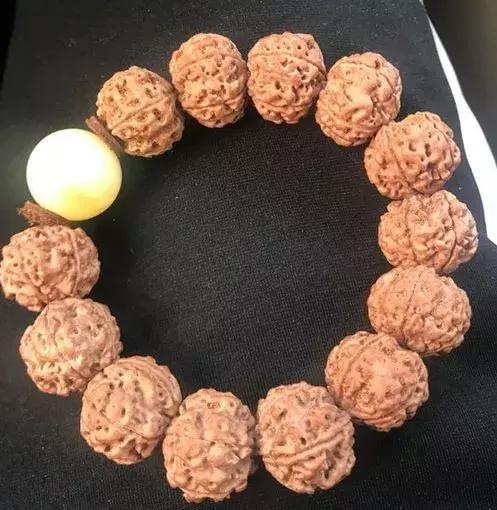 金刚贵贱区别,金刚菩提多久能红