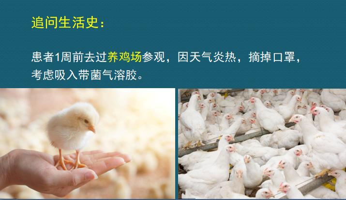 年轻人参观养鸡场，一个动作让他住院20天，损失3万块