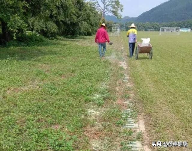 梧州蛇出没事件,广西梧州市蛇咬伤救治医院在哪里