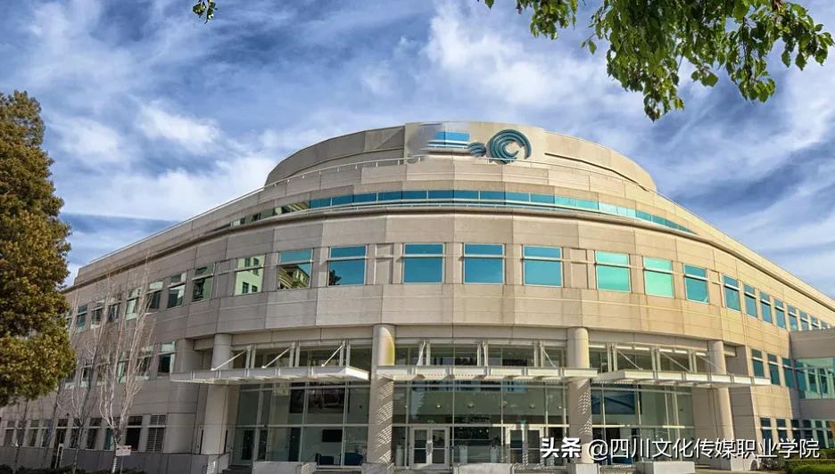 围观文传版“令人心动的offer”