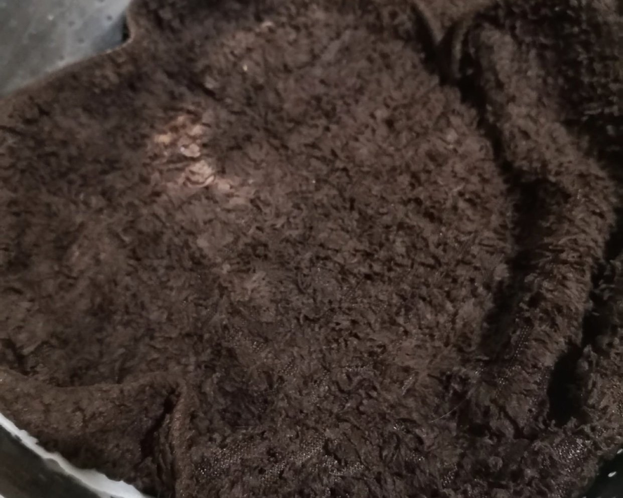 生豆芽温度高长根还是温度低长根,生的豆芽烂是怎么了