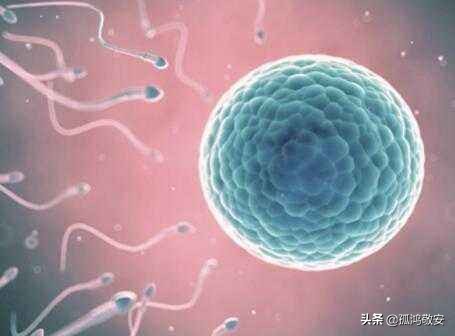 一对双胞胎同母异父鉴定,一对同母异父双胞胎