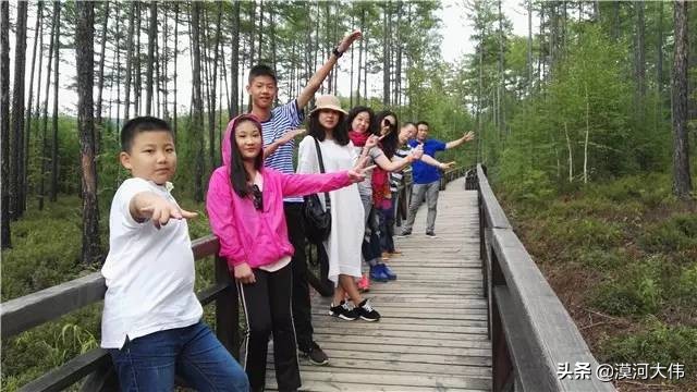 森林草原自驾游,森林亲子旅游攻略图片大全