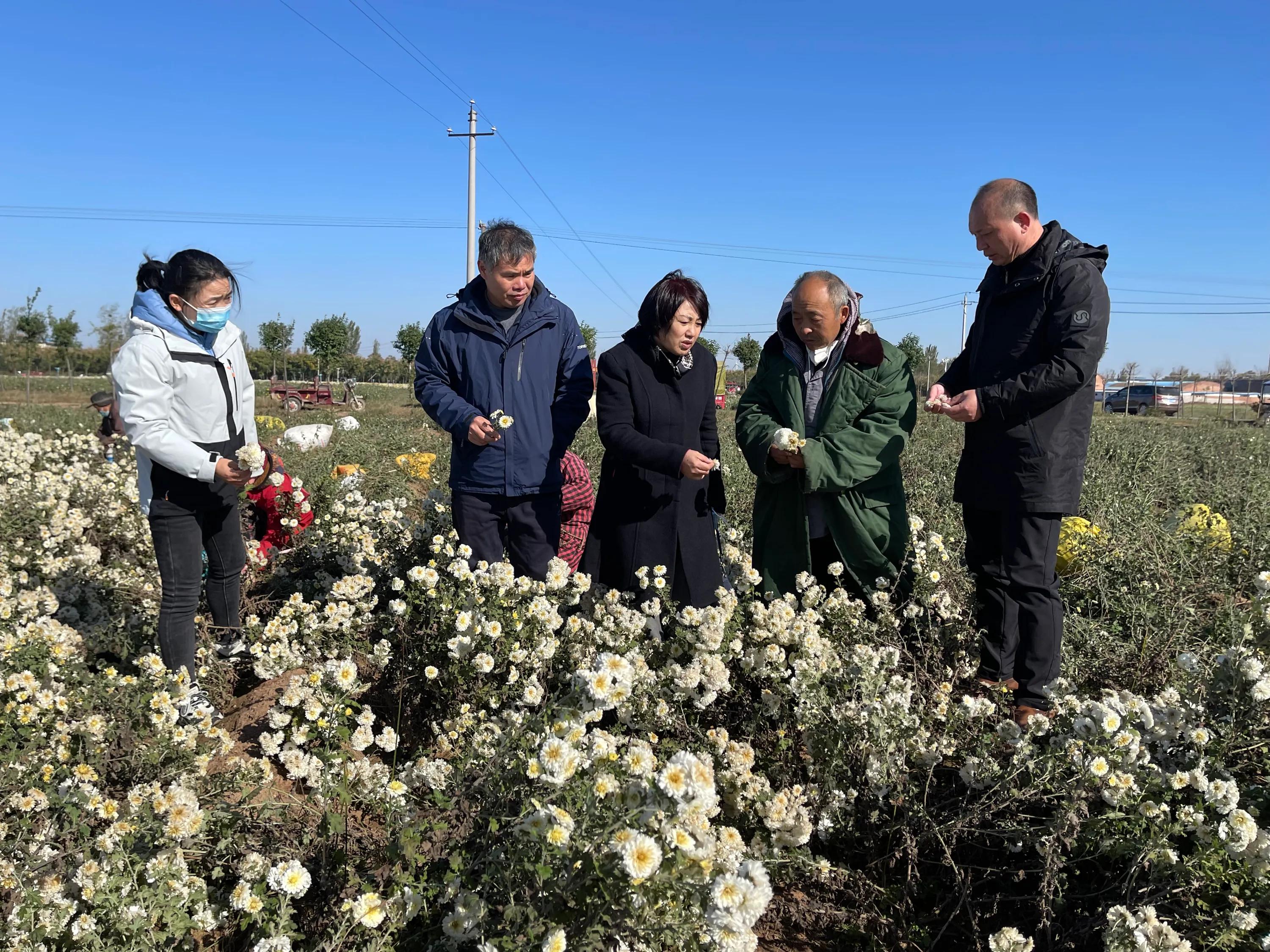 农业新品种新技术推广的意义,新型农业防病虫害技术