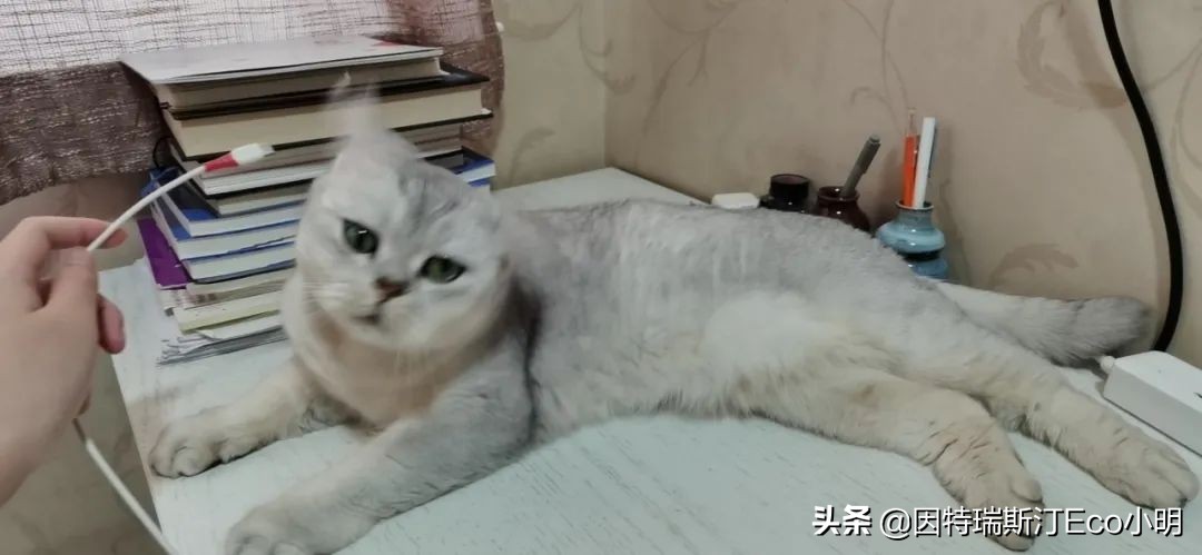 黄白线值得买吗,黄单子罚单未标注金额