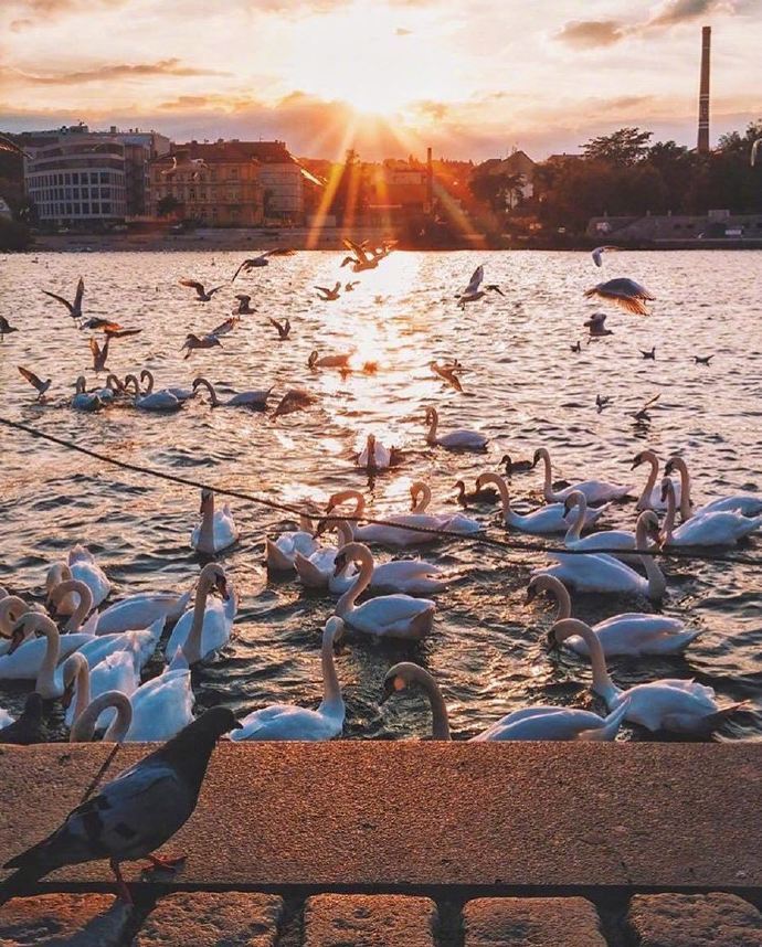 晚安励志语录不忘初心方得始终,不忘初心方得始终的下一句