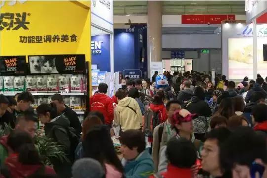 宠物经济背后的真实故事,宠物经济现状大爆发