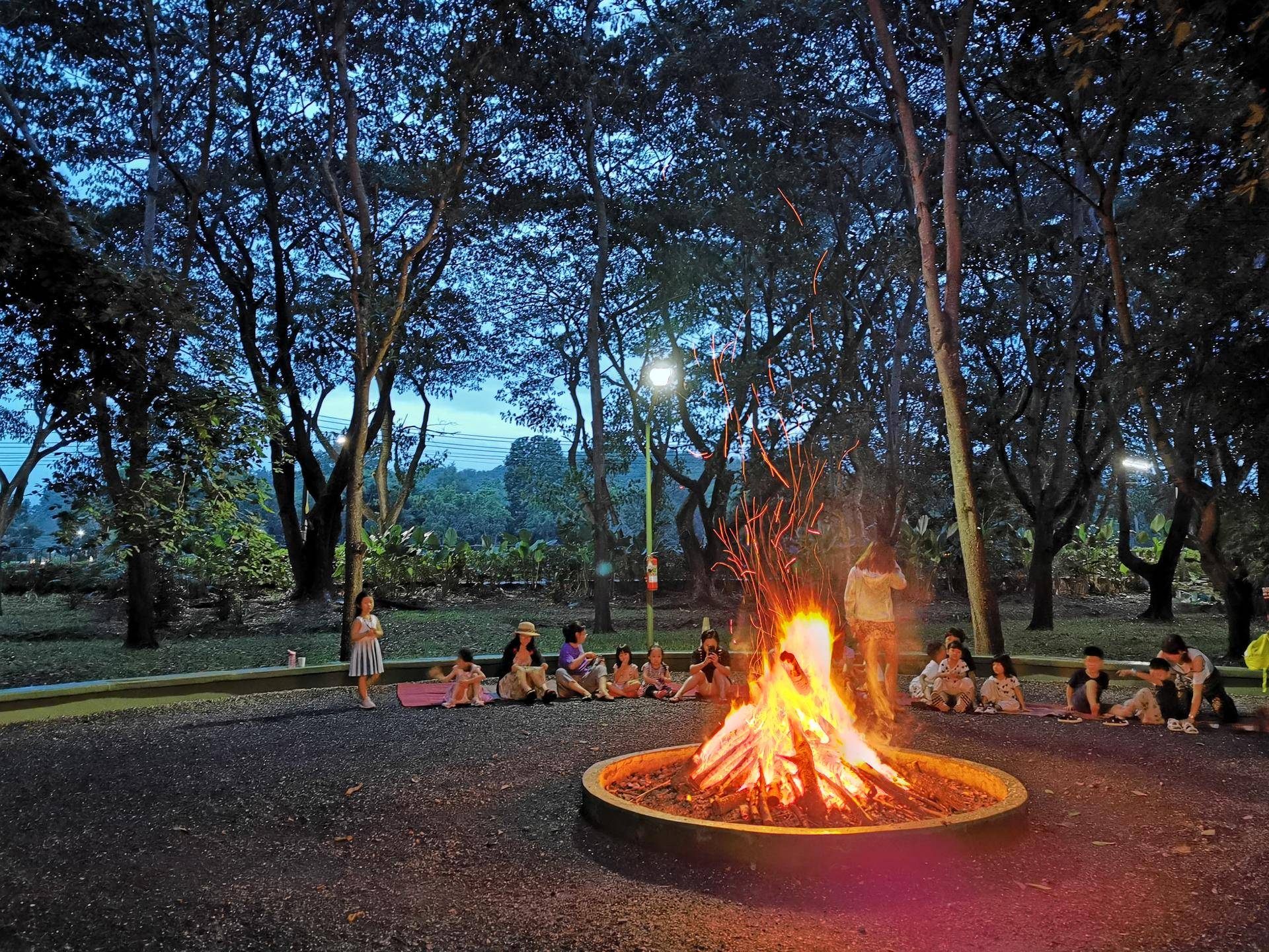 带孩子去留学的感受,带孩子去留学怎么样