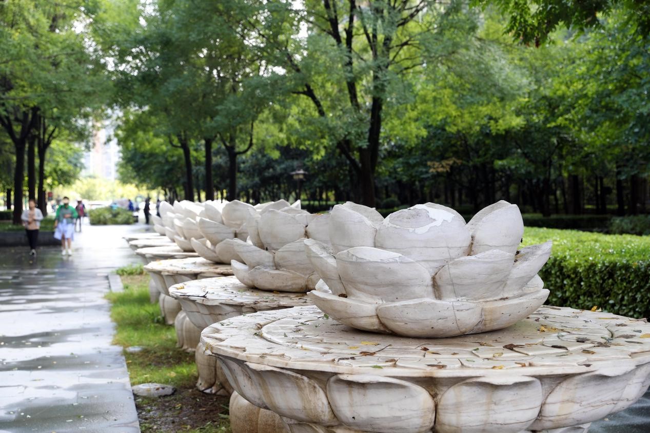 西安高新区这边的公园,西安高新区公园在哪个位置