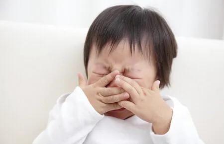 婴儿依恋关系的形成阶段,婴儿与母亲之间最初的社会性联结