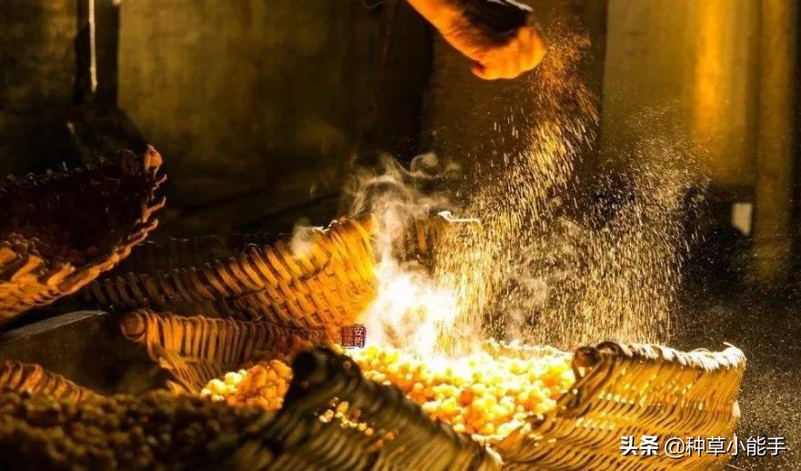 全球购买神仙水,230元的神仙水是真的吗