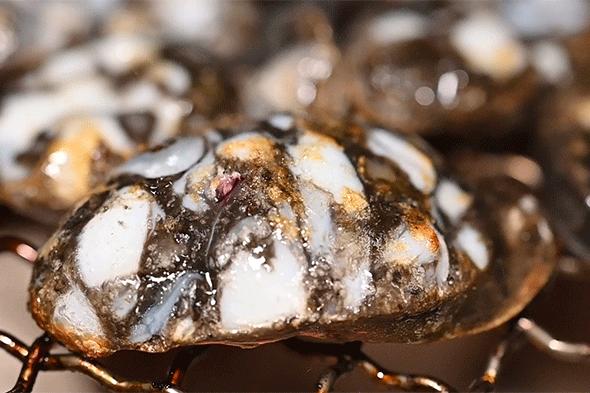 广州太古汇日式烤肉,广州太古汇附近烤肉